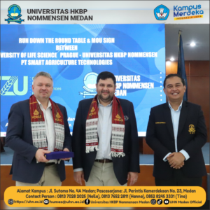 CZLU POST 7 (Medium)